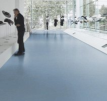 Forbo Marmoleum Decibel on Order 364235 periwinkle фото 3 | FLOORDEALER